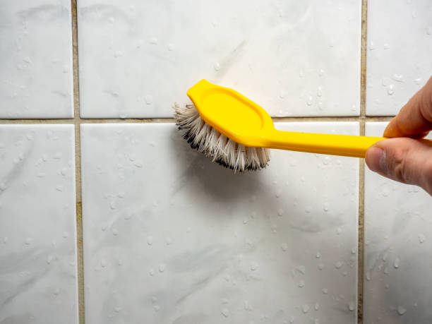 Best Mold Testing and Removal  in Oakley, UT