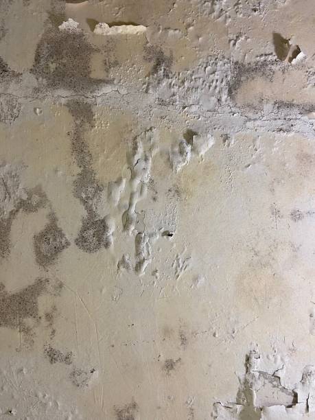 Water Damage Restoration in Oakley, UT